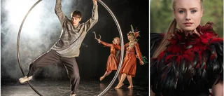 Stor kulturfestival i Storforsen – invigs i juli