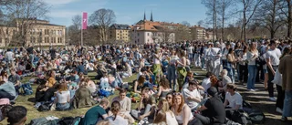 KLART: Populära majbrasan blir av  