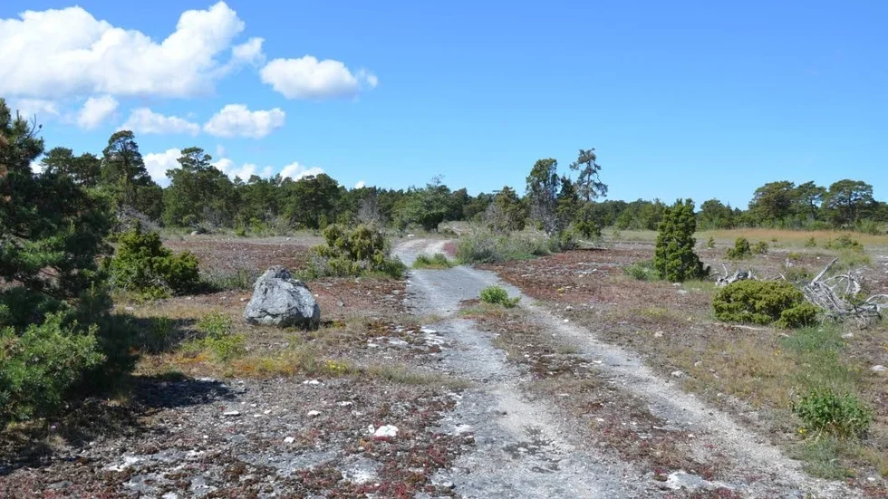 ”Vi vill inte ha nationalpark i området väster om Bästeträsk”, skriver en Fleringebo till mark- och miljödomstolen. .