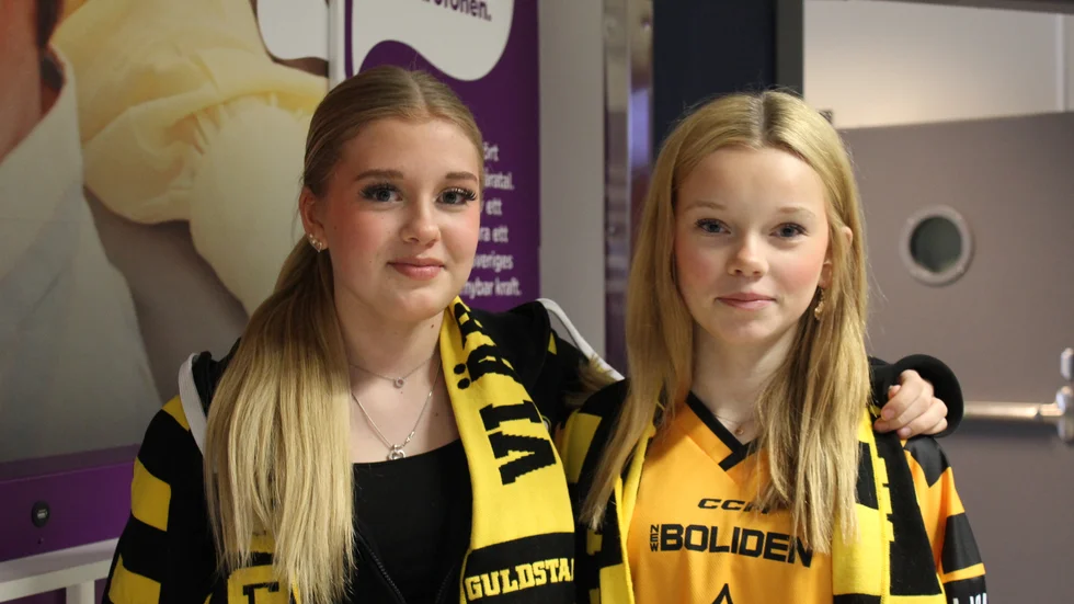 Vimmelbilder från den andra kvartsfinalen mellan Skellefteå AIK och Linköping HC. 