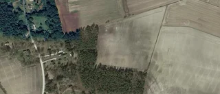 Lantbruksfastigheten på Burs Vidrings 324 i Burs såld igen efter kort tid