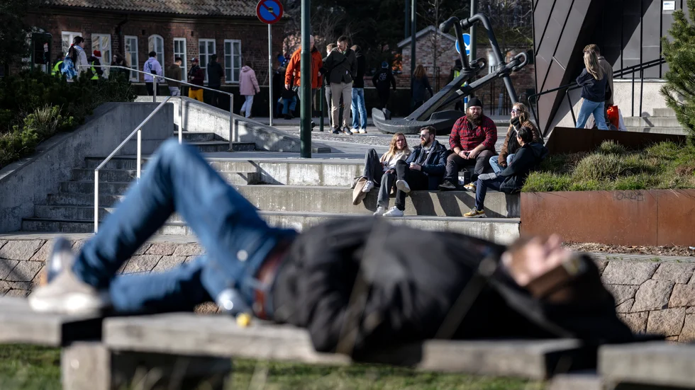 "Det blev lite vår och möjligen var det lite lycka jag kände under min morgonpromenad. "