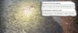 16-åring chattade om mordplaner – högg offer i ansiktet