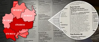 Kommuner spenderade miljoner: "Känner mig dum och lurad"