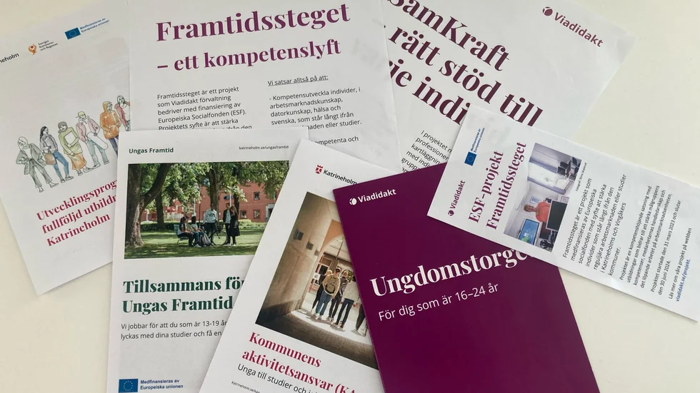 Olika typer av projekt och verksamheter som på olika vis har rötter i eller finansiering från EU. 