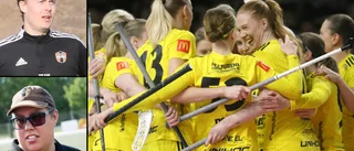 Backen Endre vill värva – Guteprofilen tränar med IFK Visby