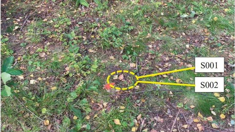 Vid cirkeln togs prov av något som misstänktes vara sädesvätska. Men Nationellt forensiskt centrum, NFC, hittade ingenting i proven.