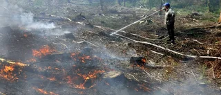 Planerad brand norr om Västervik