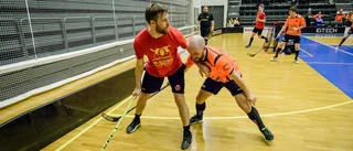 Omark: "Då kan Luleå Hockey bli riktigt bra"