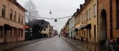 Bilförbud inte lösningen