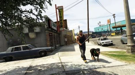 GTA V