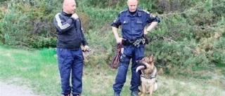 Polishundar finslipar formen