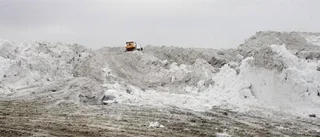 Snötipp hotar känslig fjärd
