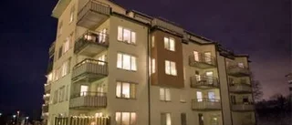Mordåtalad dömd till vård