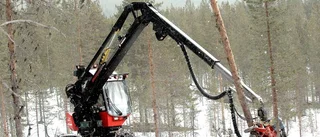 Största avverkningen på tio år