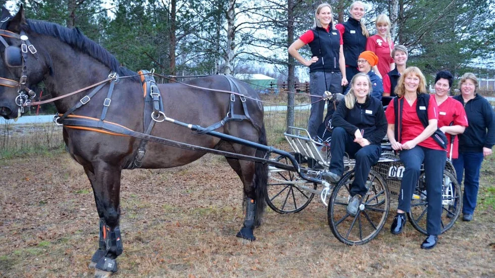 PERSONALEN SAMLAD. Längst bak: Cajsa Lugnet, Hanna Simonsson och Sara Hahne. I mitten: Kamilla Viklund (för dagen på plats med hästen Armani) och Kristina Olsson. Längst fram: Maria Olsson, Carina Isacson, Linda Christoffersson Skoog och Malin Karlsson.