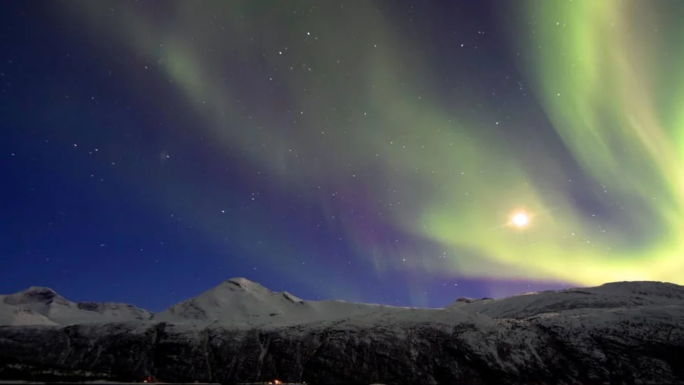 Narvik, Skjommen.