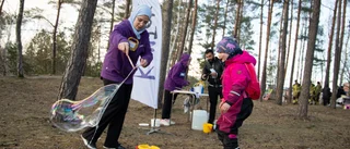 Skogsfest arrangerades i Katrineholm: "Första gången"