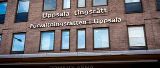 Uppsalabo förvarade kokain på pizzeria