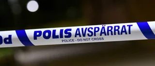 Tre villainbrott på raken