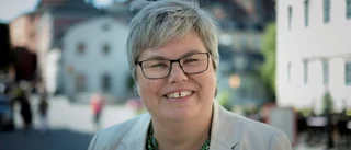 MP vill utveckla turismen på landet