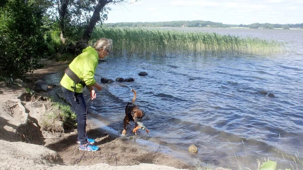 Hundbadet i Bredsand bredvid grillplatsen kompletteras nu med ett hundbad i andra änden av sandstranden, där det tidigare funnits hundbad.
