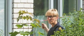 Kriminolog: vapnen måste minska