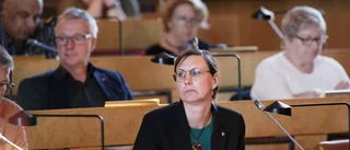 Piteå ska hjälpa Skellefteå att vinna batterifabriken