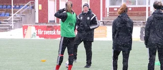 Piteå värvar tränare: "Superseriös förening"