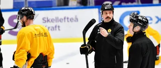 Skellefteå AIK-tränaren blir coach i Juniorkronorna: ”Jag känner stolthet”