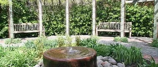 Ny stadsträdgårdsmästare i Enköping
