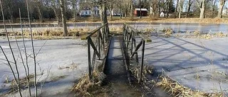 Vårflod i februari