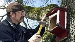 Lasse Johansson sätter upp fågelholkar i Vasaparken.
