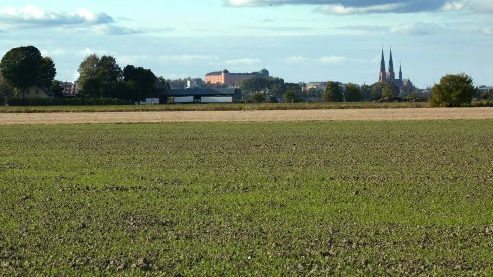 Uppsalaslättens bördiga åkermark.