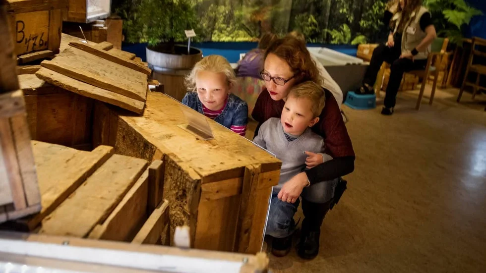 Besökare. Det är andra gången familjen Uljas går på dinosauriedagen. "Det är bra med event för engelsktalande", tycker mamman Tuuli Uljas.