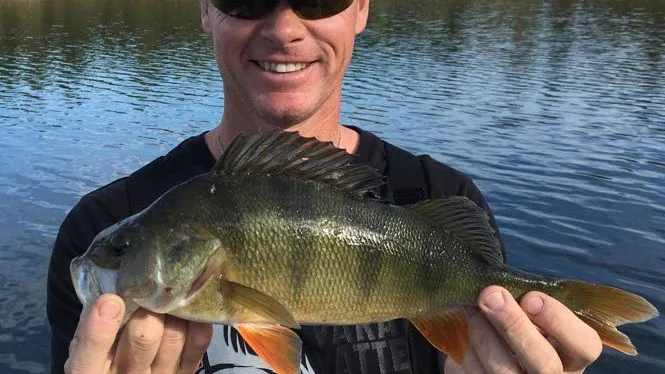 Mattias Tingestedt och hans kompisar fick avbryta fisketuren för att ta hand om alla båtarna som låg och drev. Men det blev en del fisk i alla fall.