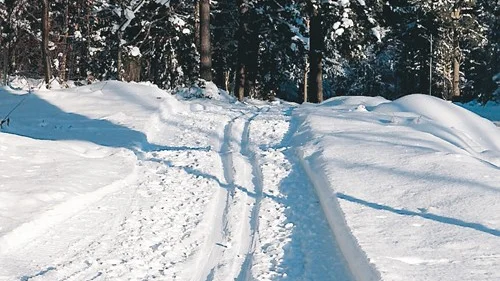I kommunen har många skidspår körts upp för de som vill ta sig en tur. Här är en bild från barkspåret uppe vid VOK-området.