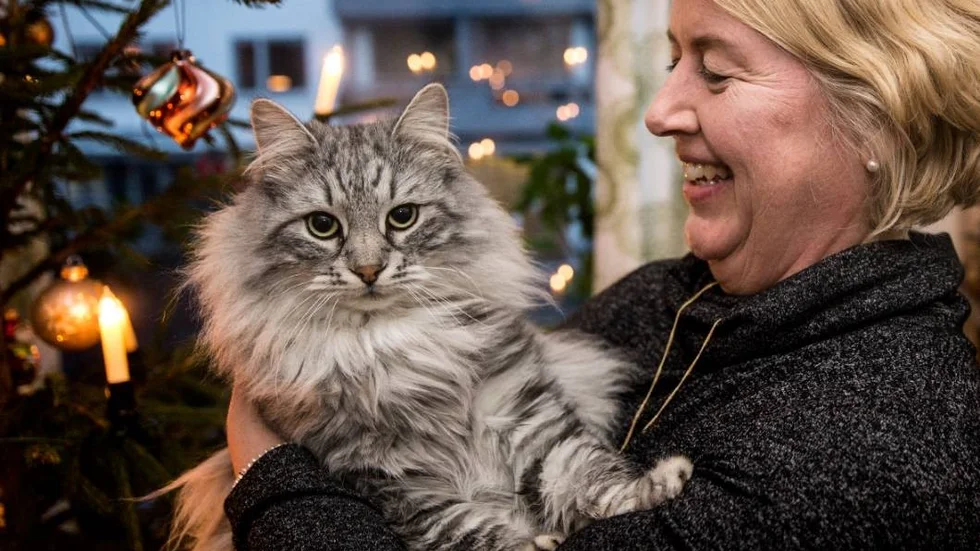 Annelie Hansdotter med katten Bruce.