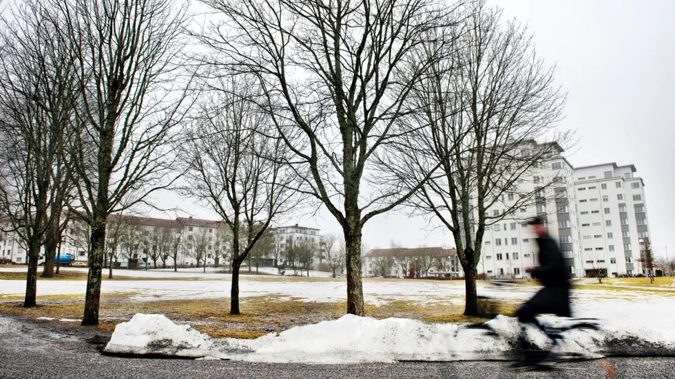 Svalborg? Snön ligger fortfarande kvar i parken vid Ekonomikum. Om  tre veckor kommer våren firas in här – oavsett temperatur. Årets valborg infaller en måndag och bäddar för långledigt. Frågan är hur lerigt firandet blir.