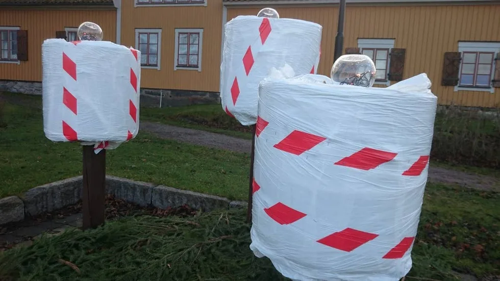 Det senaste. Blomurnor med polkagris-look i Societetsparken i Öregrund.