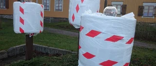 Okända polkagrisar i parken
