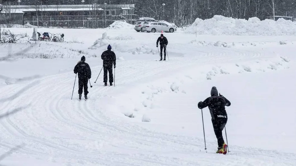 Preparerat spår. På Kap, vid Studenteras IP, finns en spårad slinga på 1,1 kilometer för längdåkning.