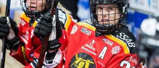Luleåstjärnan efterlyser ödmjukhet