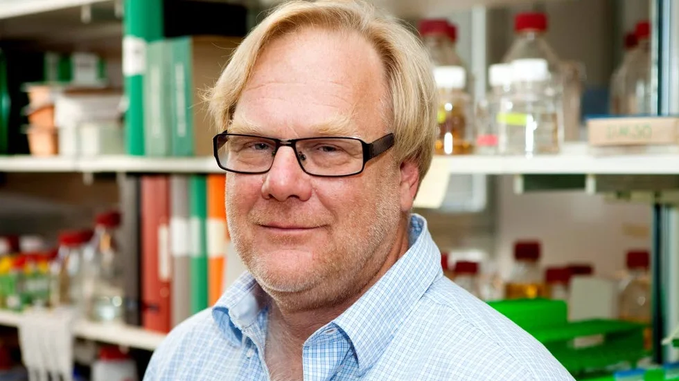 Dan Andersson