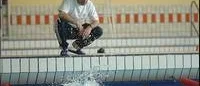 Inlägg i flyktingdebatten