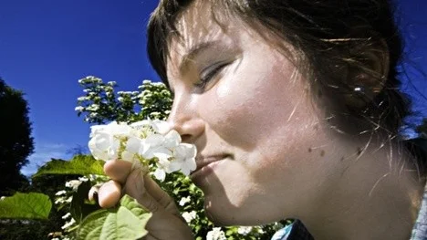 Studenter går sommarkurs
Johanna Sköld
