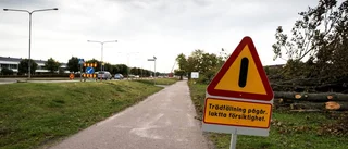 Vem bryr sig om Uppsalas träd?