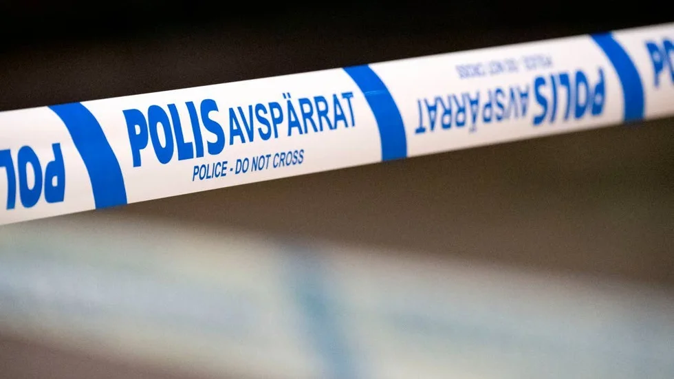 Företaget utsattes för ett stort stöldförsök.