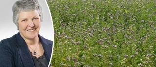 Det blommar för fullt i Uppsala