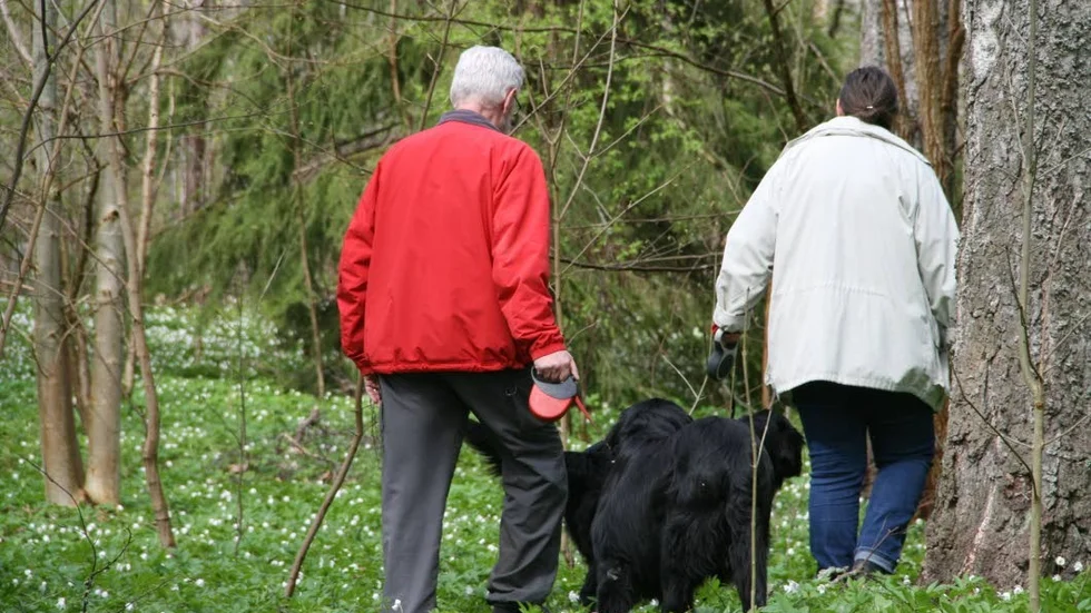 Bra för hälsan. Det finns många leder och stigar ut i naturen i Heby kommun. Ofta sker friluftsbesöken i sällskap med hunden.